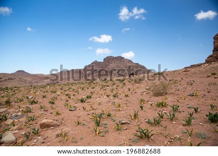 View of the mountains near the city Petra, Jordan