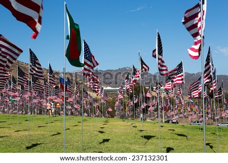 Many American flags in windy weather