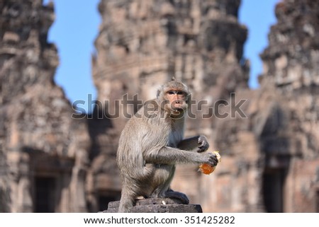LopBuri ,THAILAND - December 6, 2015: :15,000 miles from Altai to Thailand, a Caravan trip for a group of Thais and Chinese to drive from the Altai Mountains in northwestern China to Thailand,