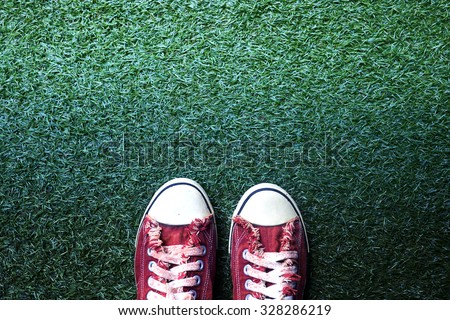a red canvas shoes on the lawn, grass yard