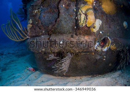 Squirrel fish hiding in the underwater ship wreck