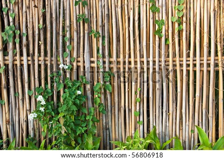 Bamboo fence with plants and flower