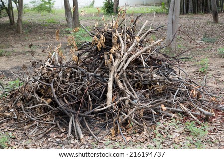 Pile of tree branch, wood stick and gabage