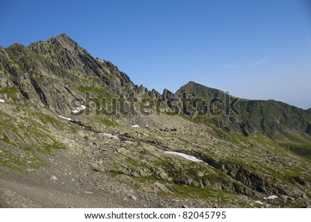 Mountain landscape in shiny summer