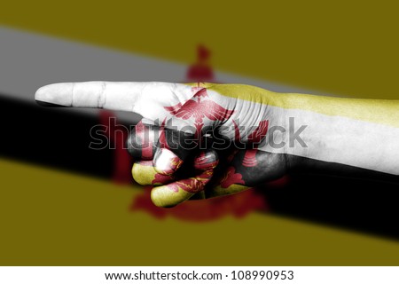 Human hand point with finger in Brunei national flag