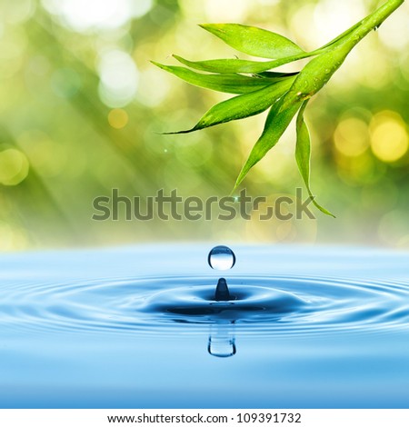 Bamboo leaf, fresh, with water drop on blue water and summer background
