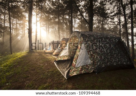Ray of sunlight, behind the tree, on misty morning shining on the camping tent