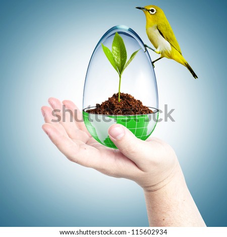 Globe cover with glass with dirt inside and yellow bird on top in a man\'s hand. Concept for environmental friendly
