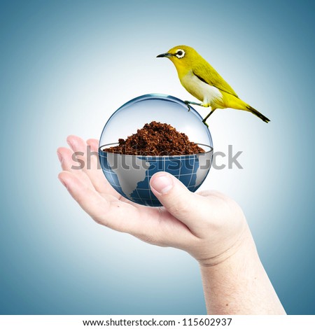 Globe cover with glass with dirt inside and yellow bird on top in a man\'s hand. Concept for environmental friendly
