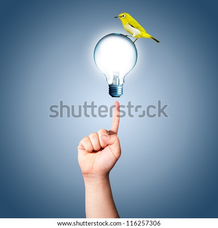 Hand pointing to the light bulb with yellow bird on top