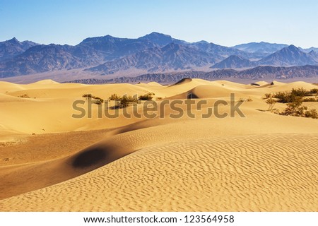 Desert Sand Dunes, Death Valley, California, USA