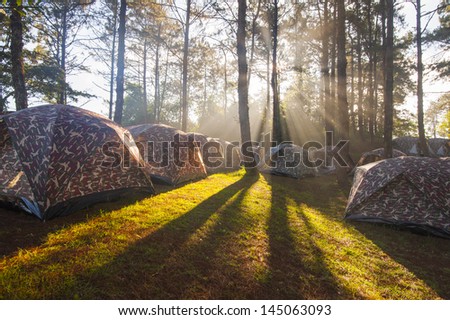 Camping tent with fog and sun ray coming through trees