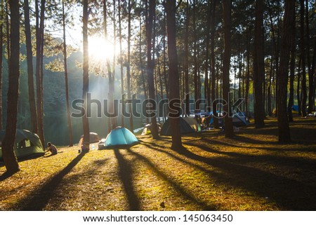 Illuminated blue Camping tent from sunlight with silhouette trees in outdoor