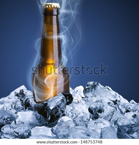 Beer bottle with ice and chill smoke
