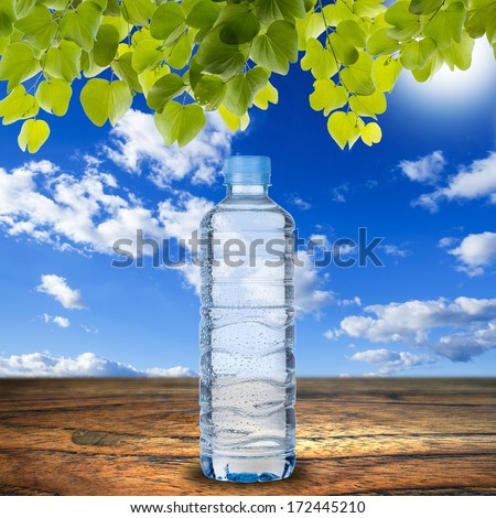 Water Bottle on wood table with summer scene background