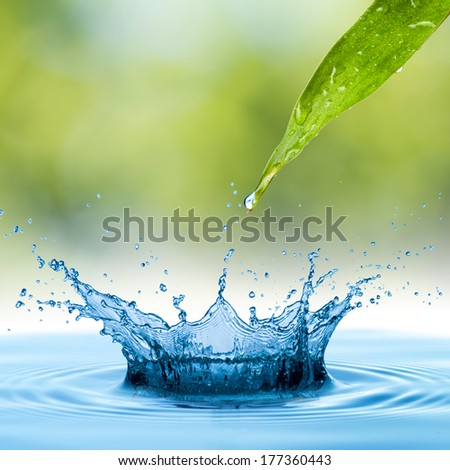 Water drop from green leaf to form water splash