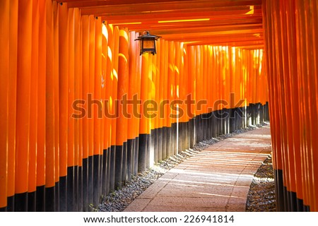 Fushimi Inari Shrine. Shrines line up in Kyoto, Japan