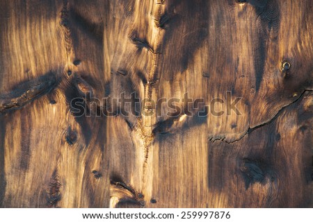 Wood Texture for Background. Natural pattern on wood, no filter