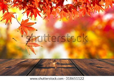 Autumn Leaf Falling On The Wood Table. Autumn Season