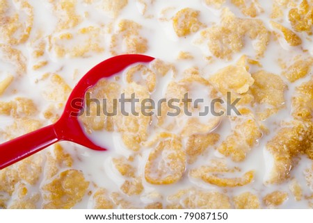 Red spoon dip in Cereal with milk, healthy breakfast food