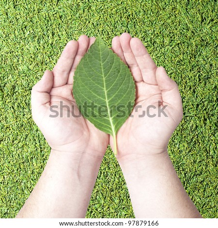 Green leaf on human hands with grass background. Concept for green earth, rebuilding earth with green energy.