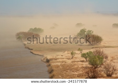 Severe sand storm with windblown trees on the edge of a lake, South Africa