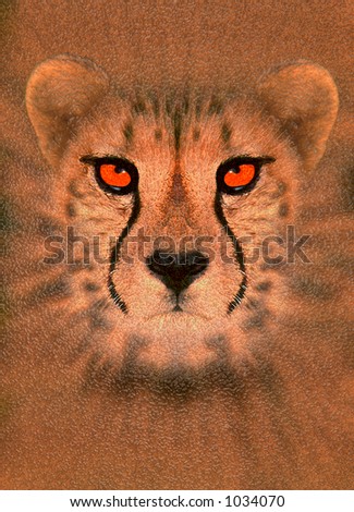 Abstract, digitally enhanced portrait of a cheetah
