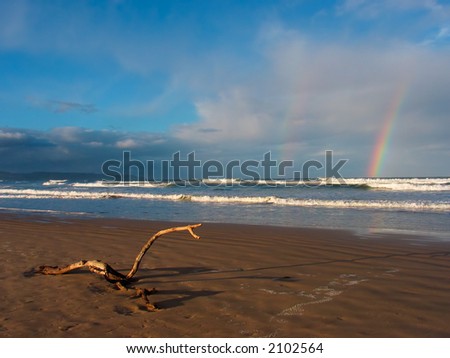 Beach scenic late afternoon with driftwood in the foreground and a rainbow on the horizon