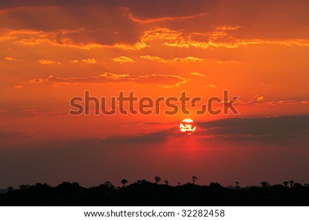 african desert sunset