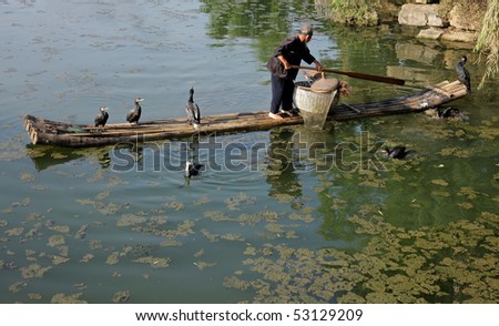 CHINA - JUNE 22: Chinese man fishing with cormorant birds, Yangshuo, Guangxi region, China, 21 June 2008. This is a traditional fishing method in which fishermen use trained cormorants to fish