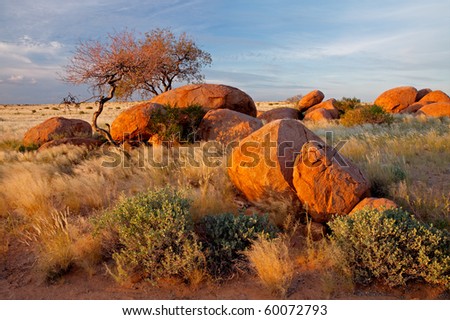 Landscape with granite boulders, trees and blue sky, Namibia, southern Africa