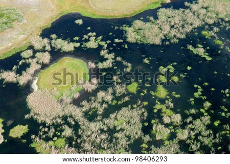 Aerial view of a coastal wetland along the tropical coast of Mozambique, southern Africa