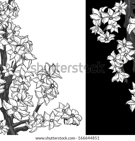 Black and white background with flowering apple tree.