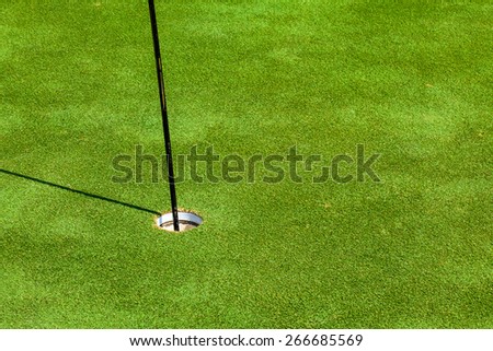 Golf green grass background texture pattern nature