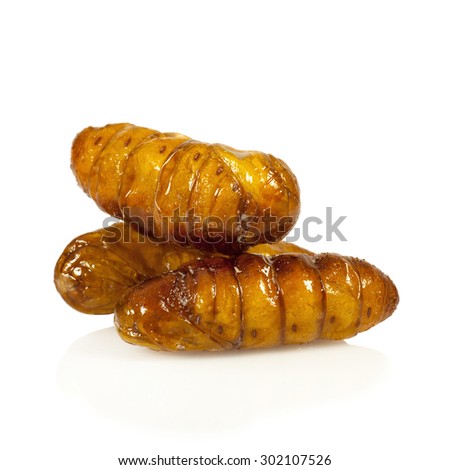 Silkworm pupae fries on white background