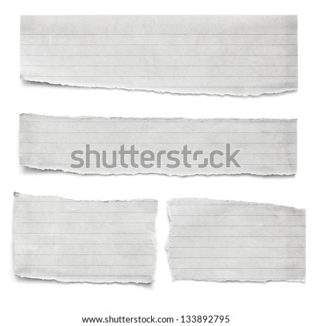 Collection of torn lined paper pieces, isolated on white.