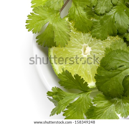 Lime and cilantro or coriander in small white bowl.
