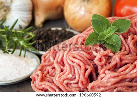 Raw ground beef with fresh herbs and spices, onions, garlic and tomatoes.