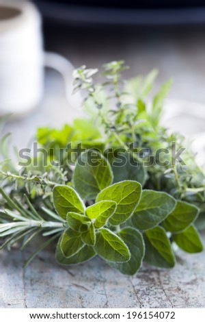 Fresh herbs on bench, with twine.  Bouquet garni, with focus on oregano.