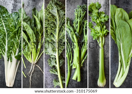 Green vegetables food collage.  Silver beet, spinach, kale, broccolini, celery and chard, over dark slate.