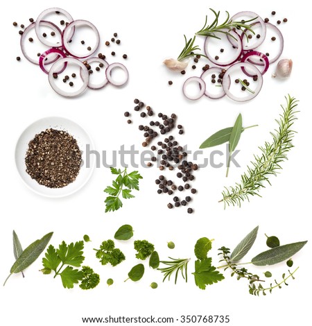 Food background collection with onions, herbs, and peppercorns, all isolated on white.  Overhead view.