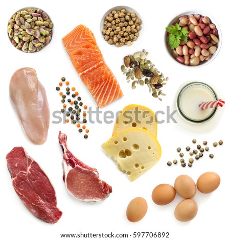 Food sources of protein, isolated, top view.  Includes meat, fish, dairy, beans, nuts and seeds.