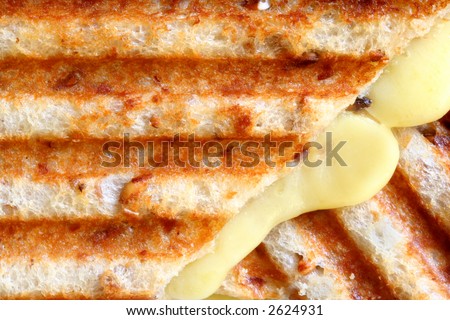 A closeup of a melting grilled cheese sandwich on wholewheat bread, with grill marks.