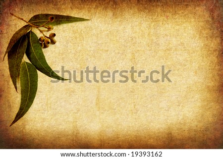 Grunge background with gum leaves, with room for your message.  Combination of sandstone and paper textures.