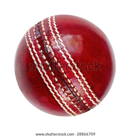 Leather Ball Cricket