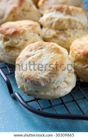 Home-baked scones on a cooling rack, straight from the oven.
