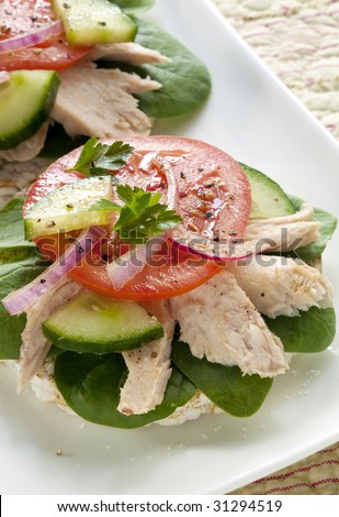 Open tuna sandwiches, with white flaked albacore tuna, baby spinach leaves, tomato, cucumber, and red onion.  Healthy snacking.