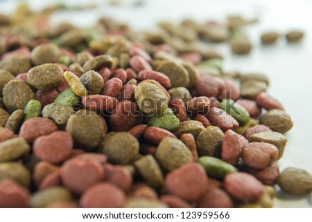 Dry dog food on white background
