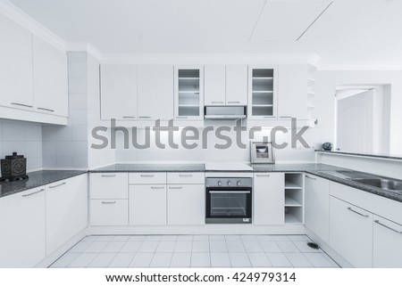 Modern gourmet kitchen interior