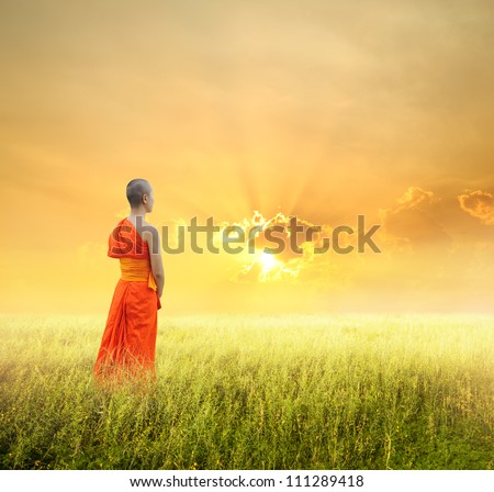 Monk Walk in grass fields and sunset